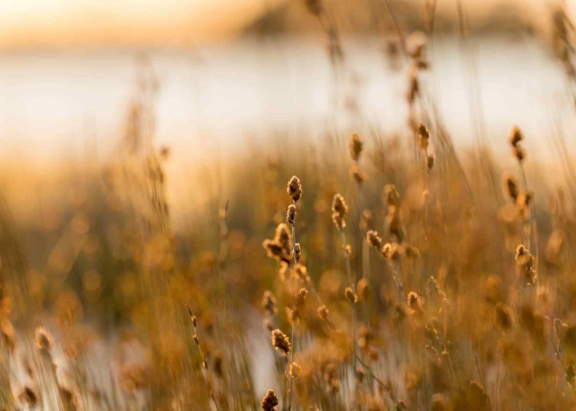 Managing Anxiety & Stress During COVID-19