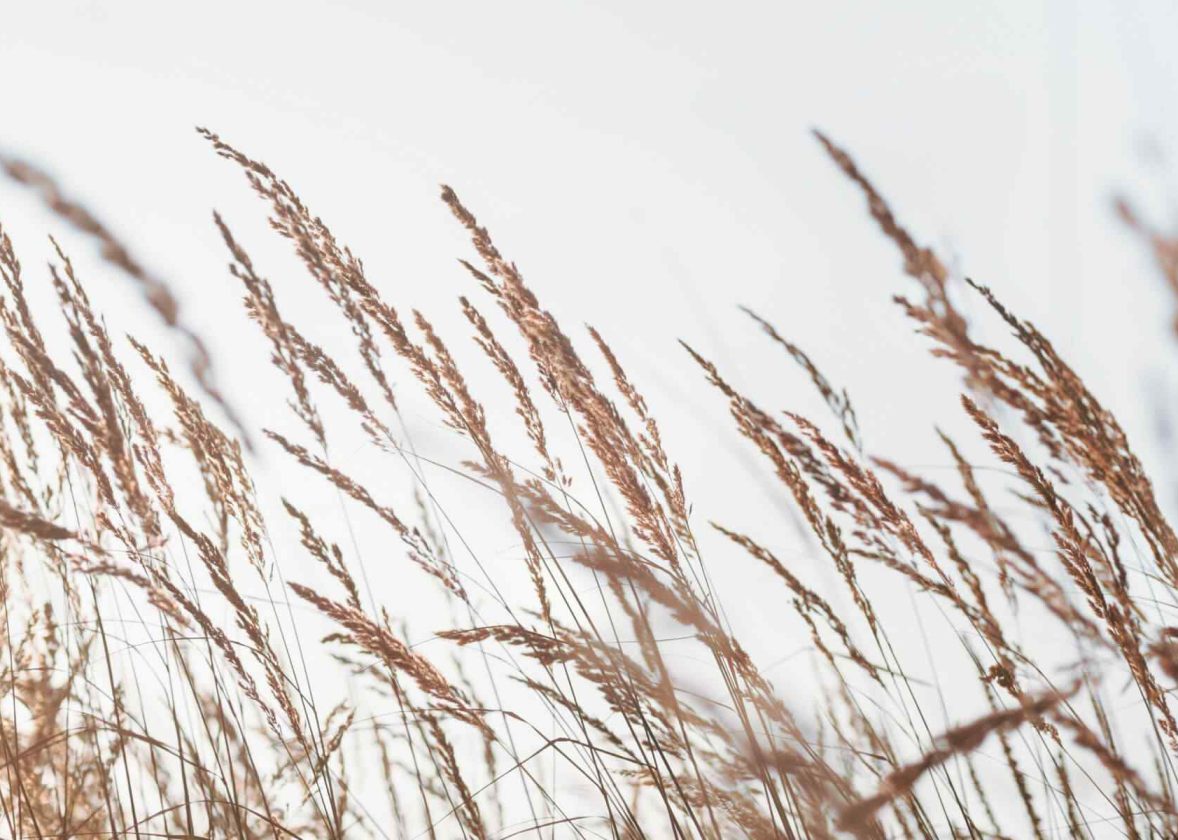 Expressing Love on Valentine’s Day