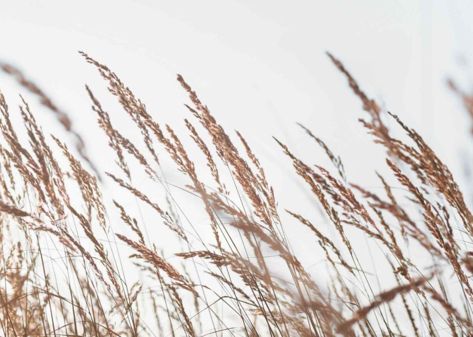 Expressing Love on Valentine’s Day